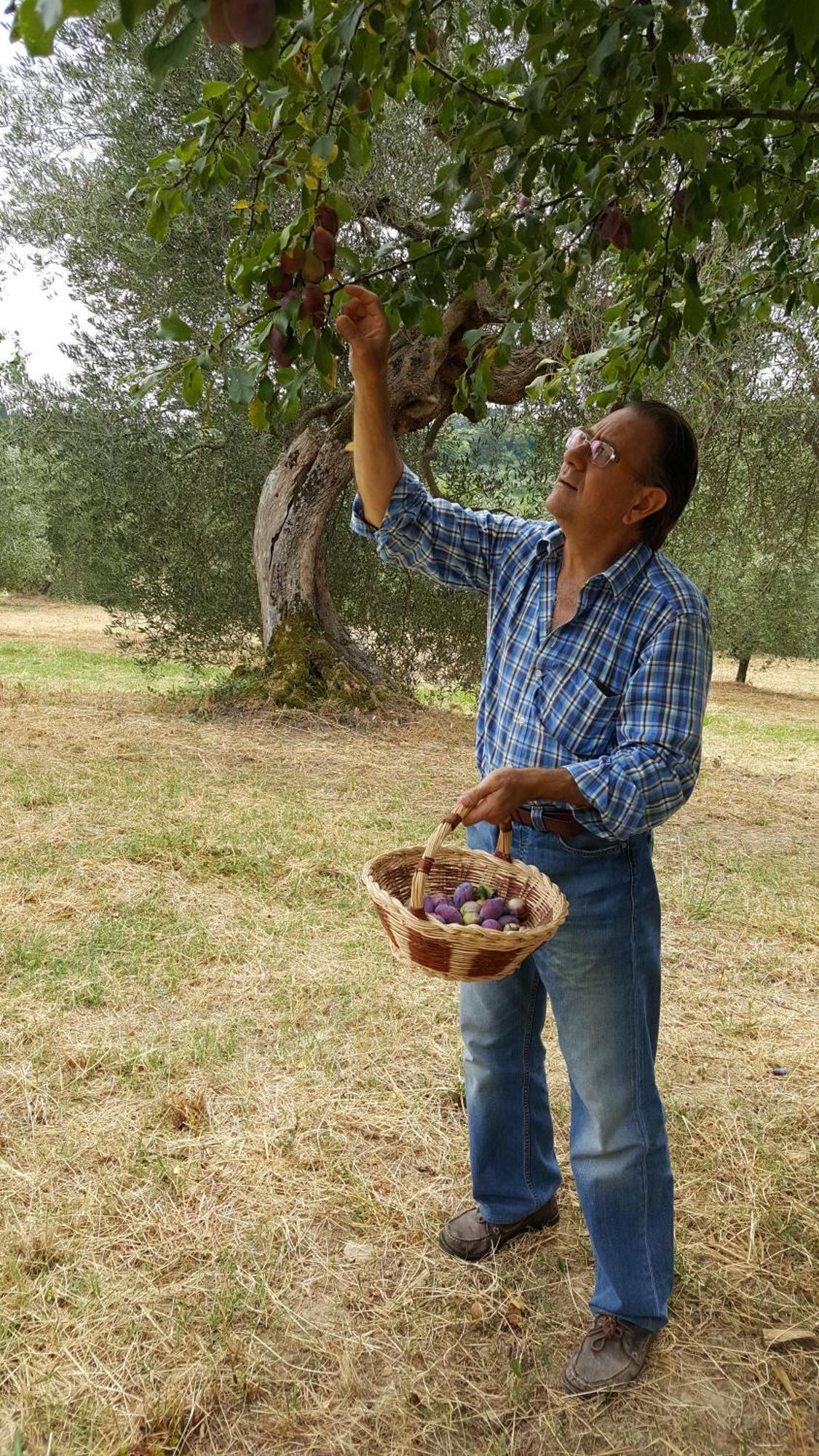 Montebello Degli Olivi คิอูซี ภายนอก รูปภาพ