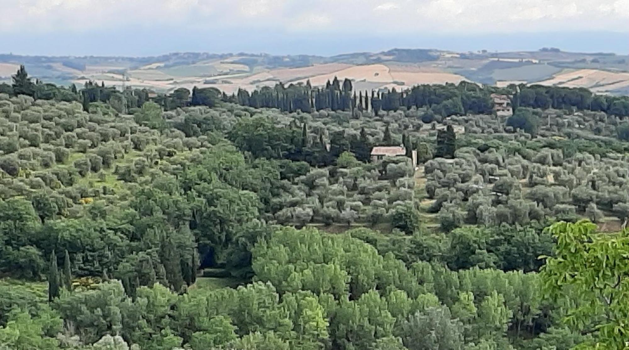Montebello Degli Olivi คิอูซี ภายนอก รูปภาพ